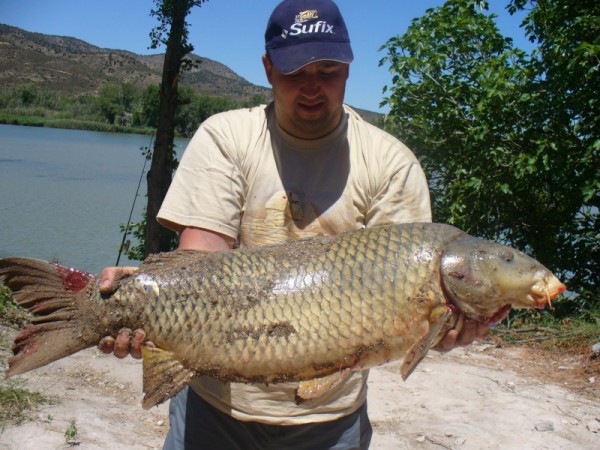 Ispanija, Segre upė. 2006m