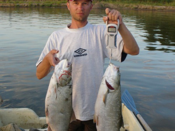 Rusija, Volga netoli Astrachanės.2005m.