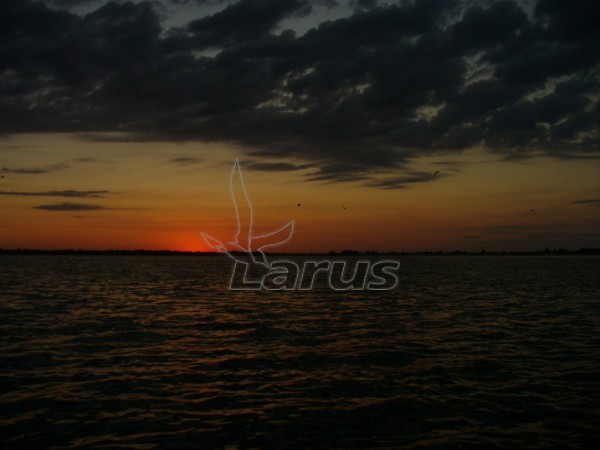 Rusija, Volga netoli Astrachanės.2007m.