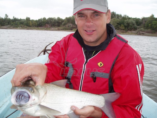 Rusija, Volga netoli Astrachanės.2007m.