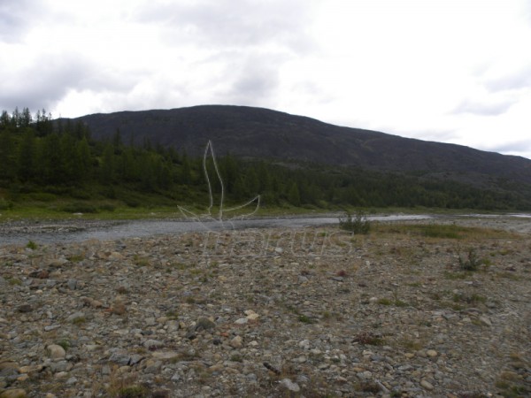 Rusija, Poliarinis Uralas, Lagorta; 2011m